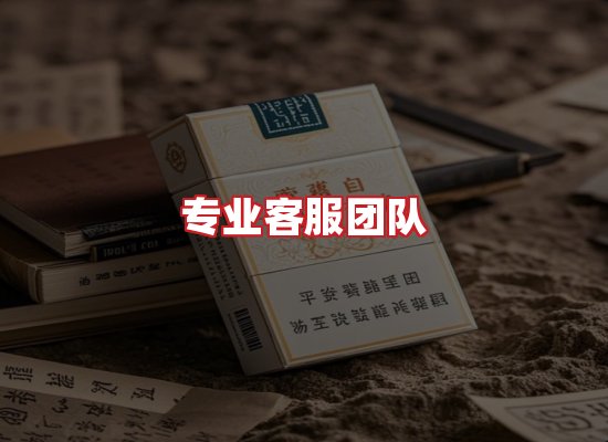 专业团队